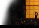 Traditinal japanese Inn Hotel