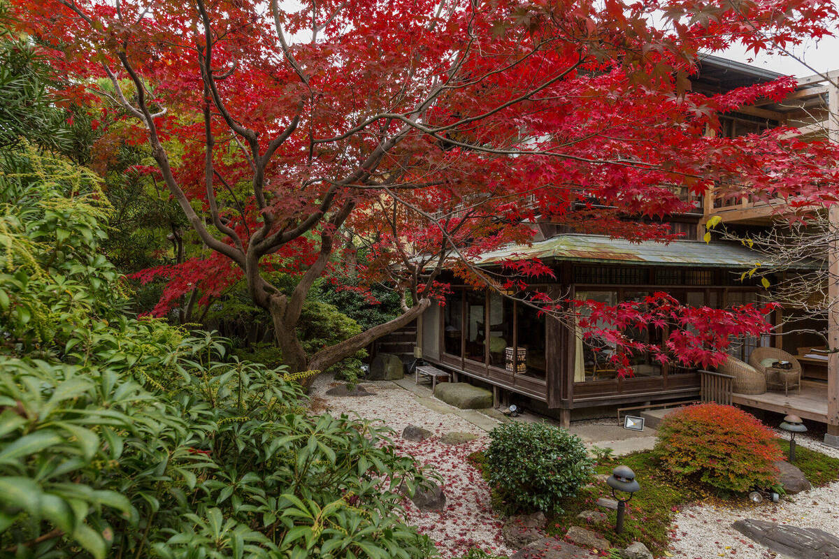 紅葉に包まれる本館「竹」の間と庭